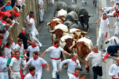 Lễ hội đua với bò tót nổi tiếng San Fermín ở thành phố Pamplona. (Nguồn: Getty Images)