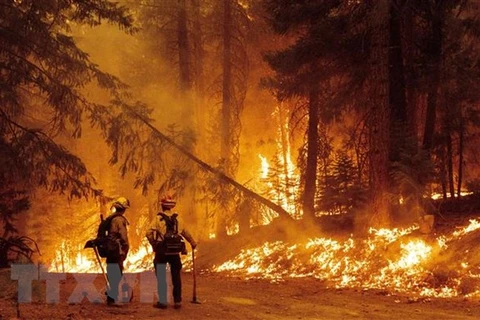 Cháy rừng dữ dội tại California (Mỹ) ngày 23/7. (Ảnh: AFP/TTXVN)