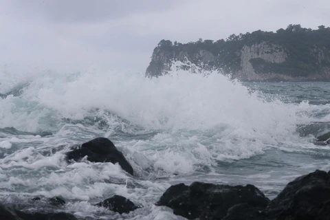 Sóng lớn xô vào bờ biển ở đảo Jeju, Hàn Quốc ngày 3/9/2022, trước khi bão Hinnamnor đổ bộ. 9Ảnh: Yonhap/ TTXVN)