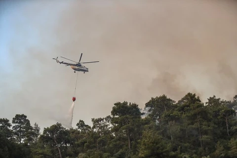 Một đám cháy rừng tại Thổ Nhĩ Kỳ. (Nguồn: EPA)