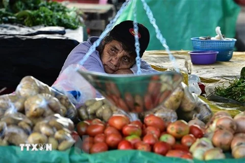 Một người bán rau, củ, quả tại chợ ở Tegucigalpa, Honduras. (Ảnh: AFP/TTXVN)