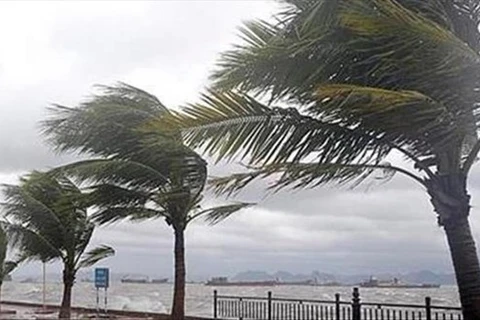 Trung tâm Bão Quốc gia Mỹ (NHC) cho biết cơn bão nhiệt đới Ian đã mạnh lên thành bão cấp 1 khi tiến sát miền Đông Cuba. (Nguồn: AP)