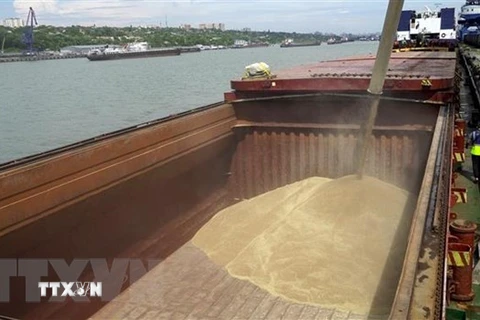Lúa mỳ được bốc lên tàu chở hàng tại cảng quốc tế Rostov-on-Don, Nga tới Thổ Nhĩ Kỳ. (Ảnh: AFP/TTXVN) 