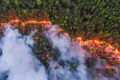 Ảnh chụp vụ cháy rừng ở vùng Krasnoyarsk, Nga, hôm 17/7 từ góc máy trên không. Nhiệt độ cao, độ ẩm thấp và thời tiết khô hạn góp phần làm các đám cháy lan rộng khắp Siberia và các cánh rừng và cao nguyên phương bắc của Nga. Siberia của Nga vốn nổi tiếng l