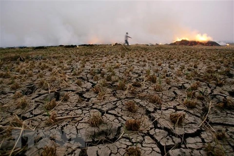 Đất khô nứt nẻ trên cánh đồng ở Qaliubia, Ai Cập. (Ảnh: AFP/TTXVN)
