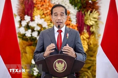 Tổng thống Indonesia Joko Widodo. (Ảnh: AFP/TTXVN) 