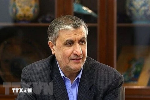 Giám đốc Cơ quan Năng lượng Nguyên tử Iran (IAEO) Mohammad Eslami. (Ảnh: IRNA/TTXVN) 