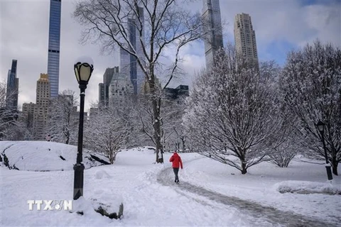 Tuyết phủ trắng tại New York, Mỹ. (Ảnh minh họa: AFP/TTXVN)