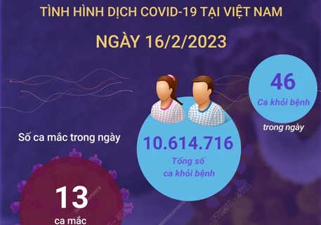 [Infographics] Ngày 16/2/2023: Có 13 ca COVID-19 mới, 46 F0 khỏi bệnh