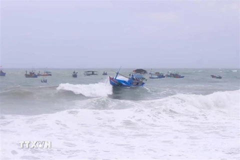 Vũng Tàu: Cảnh báo triều cường và sóng lớn ven biển Nam Bộ