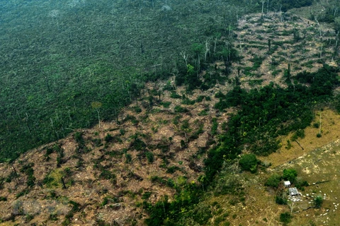Một khoảng rừng mưa Amazon ở bang Amazonas, Brazil bị cháy rụi ngày 24/8/2019. (Ảnh: AFP/TTXVN) 