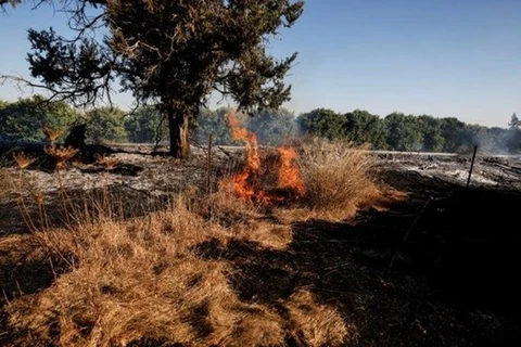 Bóng bay gây cháy gây hỏa hoạn trên các cánh đồng tại miền Nam Israel. (Nguồn: Reuters) 