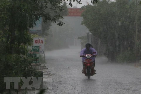 Thừa Thiên-Huế: Xuất hiện mưa đá tại huyện A Lưới