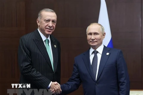 Lãnh đạo Nga, Thổ Nhĩ Kỳ điện đàm về quan hệ đối tác song phương
