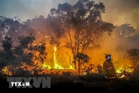 Thái Lan “chạy đua” với thời gian để dập tắt cháy rừng tại Nakhon 