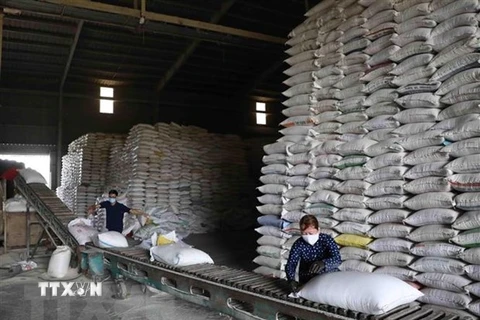 Chính phủ Philippines tìm cách nhập thêm 330.000 tấn gạo