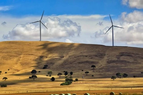 Australia khởi công xây dựng trang trại điện gió trên bờ công suất lớn