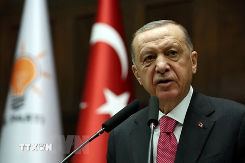 Tổng thống Recep Tayyip Erdogan giành gần 50% số ghế ở Quốc hội