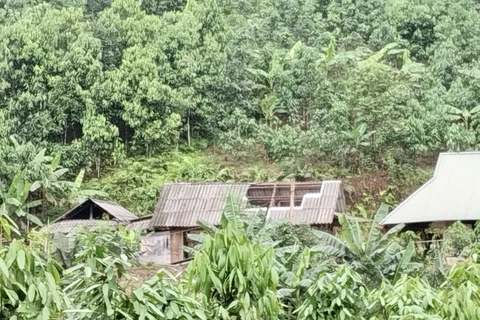 Yên Bái: Tìm thấy thi thể người mất tích do mưa to và lốc xoáy