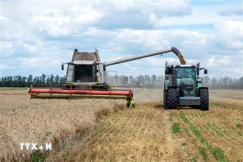 Chính phủ Ukraine có thể mất hơn 20 năm để phục hồi ngành nông nghiệp