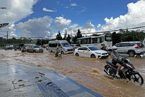 Đà Lạt: Ngập nặng và cây đổ ở nhiều tuyến phố sau cơn mưa lớn