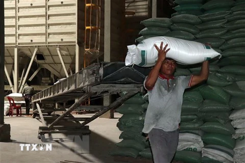 Điểm lại thị trường nông sản tuần qua: Giá gạo châu Á tiếp tục tăng