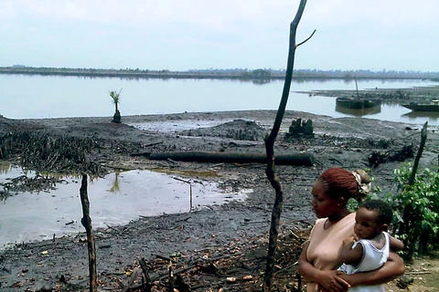 Vụ tràn dầu tại Nigeria gây ô nhiễm đất nông nghiệp và nước sinh hoạt