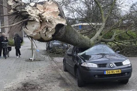 Bão lớn hoành hành tại Hà Lan gây gián đoạn giao thông nghiêm trọng