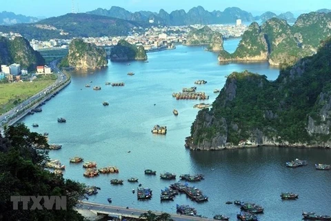Quảng Ninh: Ngăn chặn các dịch vụ du lịch tự phát trên Vịnh Hạ Long