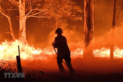  Hơn 120 vụ cháy rừng hoành hành khắp các vùng của Hy Lạp 