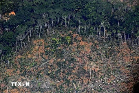 Tổ chức Hiệp ước Hợp tác Amazon lần đầu xây dựng chính sách chung