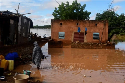 Niger: Lũ lụt làm 27 người thiệt mạng, hàng nghìn người bị ảnh hưởng