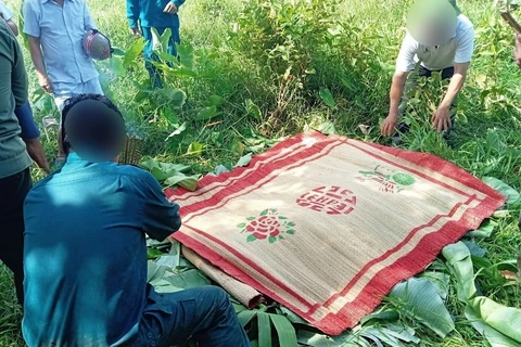 Quảng Bình: Tìm thấy thi thể người phụ nữ nghi nhảy cầu 