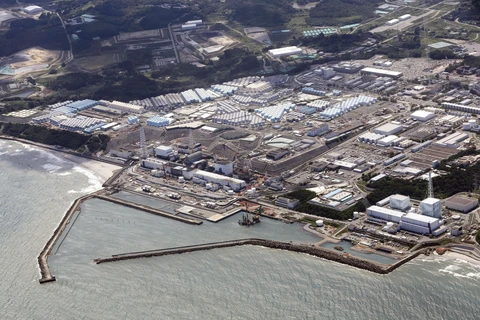 Nhật Bản: Không phát hiện bất thường trong mẫu cá sau khi xả nước thải