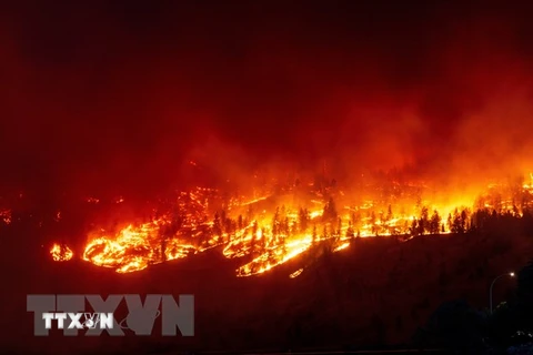 Diện tích đám cháy rừng tồi tệ nhất châu Âu lớn hơn cả New York