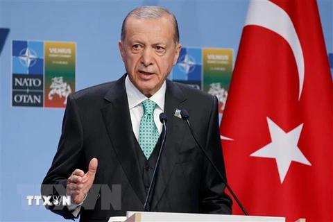 Tổng thống Tayyip Erdogan: Thổ Nhĩ Kỳ có thể "chia tay" với EU