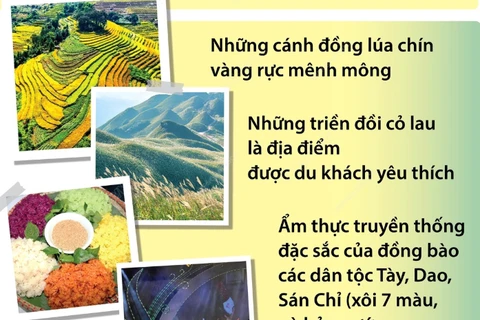 [Infographics] Mùa Thu ở Bình Liêu: Mùa đẹp nhất trong năm