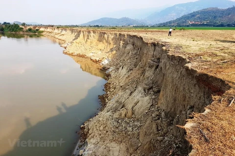 Đắk Nông: Chấn chỉnh hoạt động khai thác cát tại xã Buôn Chóah