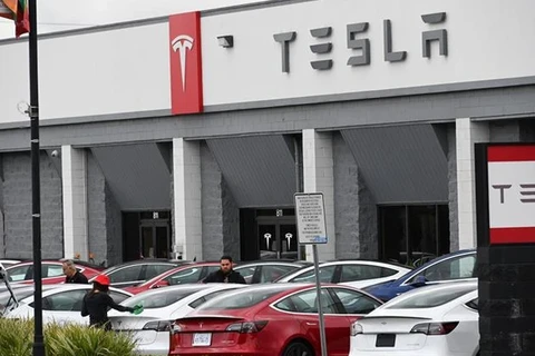 Hệ thống tự lái Autopilot của Tesla đang được giám sát chặt chẽ. (Ảnh: AFP/TTXVN) 