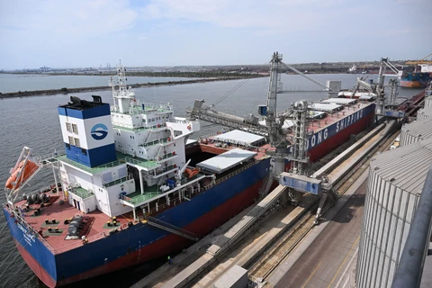 Tàu chở ngũ cốc tại cảng Constanta, Romania ngày 31/7/2023. (Ảnh: AFP/TTXVN)