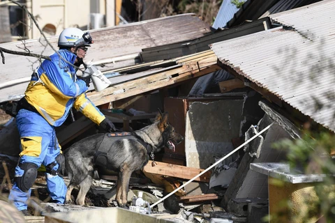 Lực lượng cứu hộ tìm kiếm người mất tích sau động đất tại tỉnh Ishikawa, Nhật Bản ngày 6/1/2024. (Ảnh: Kyodo/TTXVN)
