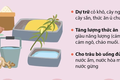 Những biện pháp phòng chống rét cho trâu, bò