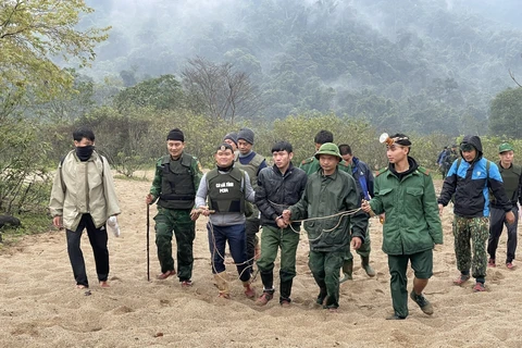 Đối tượng Nguyễn Hồng Sơn bị lực lượng chức năng bắt giữ. (Ảnh: TTXVN phát)