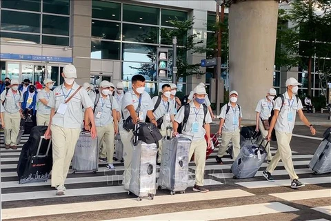 Lao động Việt Nam nhập cảnh Hàn Quốc tại sân bay Incheon. (Ảnh minh họa: Anh Nguyên/TTXVN) 
