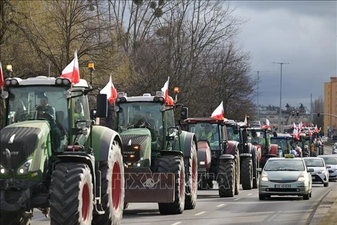 Nông dân Ba Lan biểu tình phản đối ngũ cốc của Ukraine ngày 20/2. (Ảnh: PAP/TTXVN)