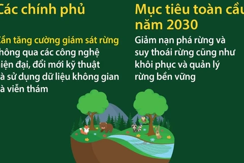 “Rừng và Đổi mới: Giải pháp mới cho một thế giới tốt đẹp hơn” 