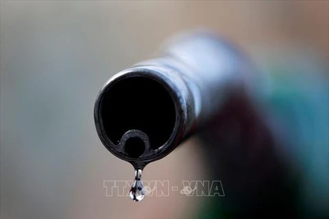 Vòi bơm dầu tại một cây xăng ở Tehran, Iran. (Ảnh: IRNA/TTXVN)