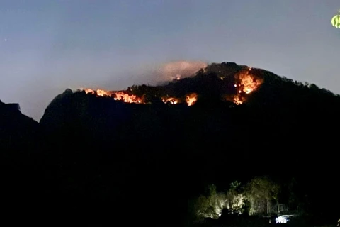 Ngọn lửa bùng phát trở lại trên núi Cô Tô tối 27/4. (Ảnh: TTXVN phát)