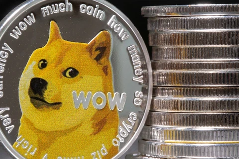 Kabosu, thuộc giống chó Shiba Inu, đã trở thành biểu tượng của Dogecoin. (Nguồn: SkyNews)