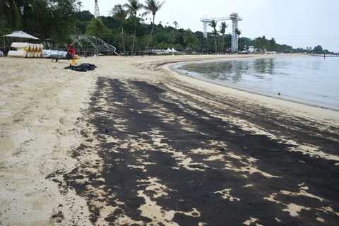 Dầu loang trên bãi biển Siloso ở đảo Sentosa, Singapore, ngày 15/6/2024. (Ảnh: THX/TTXVN)